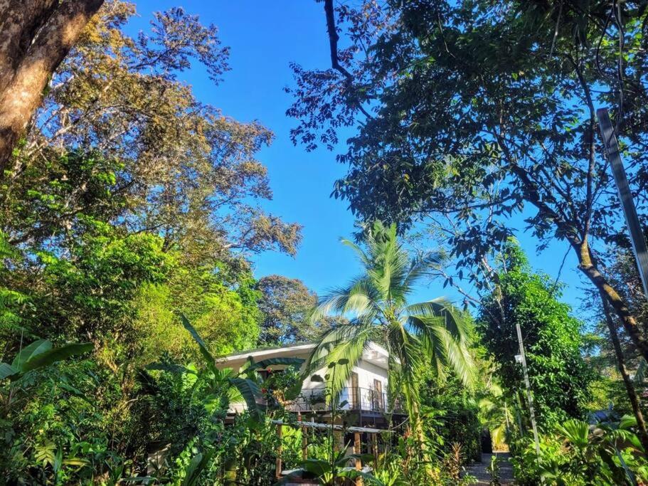 Luba House Villa ปัวร์โตคิมาเนซ ห้อง รูปภาพ